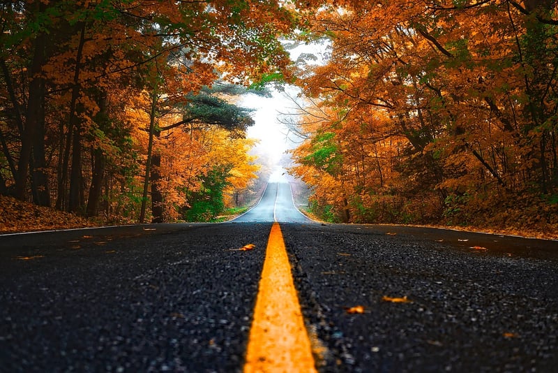 Embracing Change